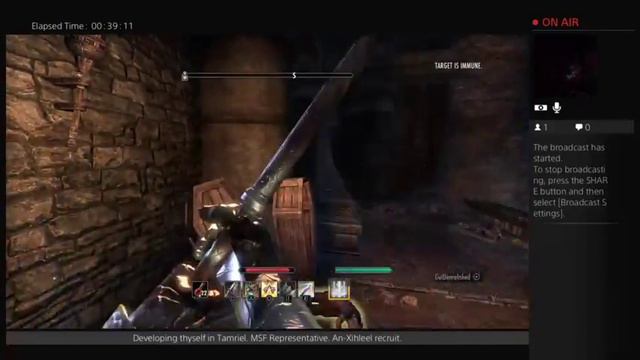 ESO Tamriel VR 6 Argonian Bangkorai missions25