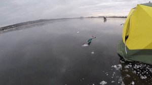 Зимняя рыбалка в Кольчугино. Поздравление