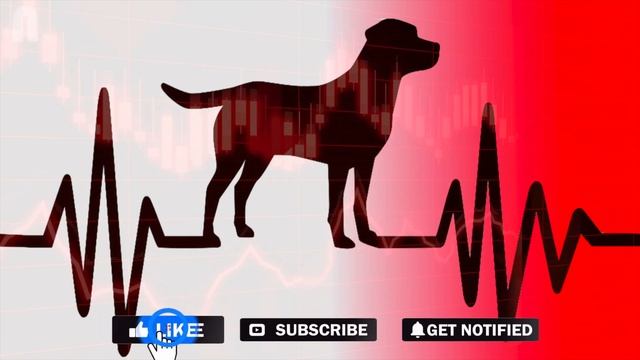 Dog Sounds To Make Them Howl [GUARANTEED] смотреть онлайн