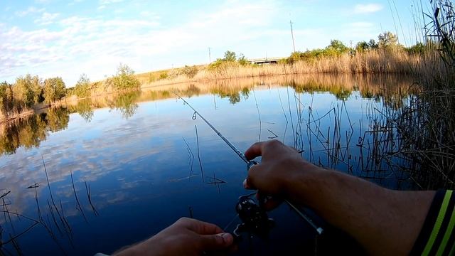 Ловля карася на мормышку. Dayo Liropus 198 0.2-0.8 / Dayo Prestige 198 0.2-0.8. смотреть онлайн