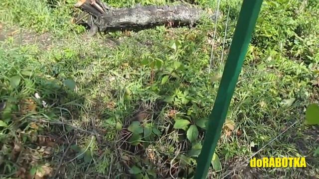 ✅ Забор из сетки Рабица своими руками. Простой вариант от doRABOTKA смотреть онлайн