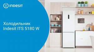 Холодильник Indesit ITS 5180 W - обзор модели