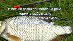 приманки и прикормки для ловли плотвы летом