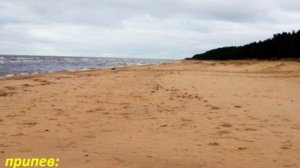 Песня "Балтийский берег" Музыка А. Быкова Слова И. Аваковой http://vk.com/club15253380