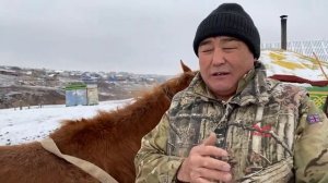 Обучение лошади или почему нужна активность на канале ?Нана Арби Цураев