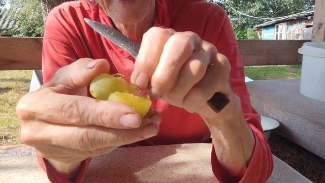 Как легко достать косточку из СЛИВЫ! смотреть онлайн