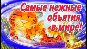 Самые нежные объятия в мире! Сказки на ночь. Мультфильм перед сном. Книга - Сказкотерапия