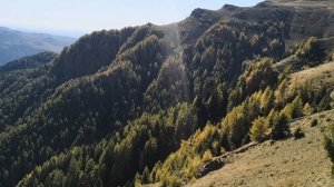 Traseu din Sinaia către Piatra Arsa