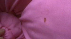 Часть 2 МК "Как сшить подушку цветок Роза-Ромашка своими руками