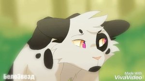 |AMV| Swiftpaw and Brightheart |~Sweater Weater~|•Warriors Cats•|