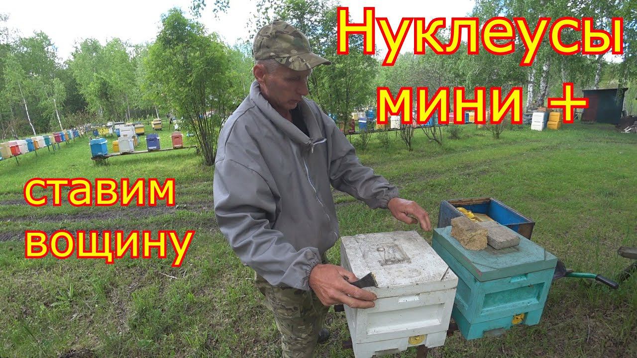 НУКЛЕУСЫ МИНИ + Расширение вощиной! ОБСТАНОВКА на ПАСЕКЕ!