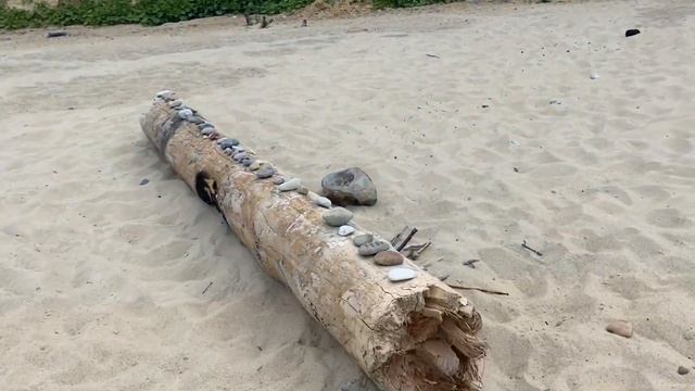 Пляж Куликово Балтийское море 2022