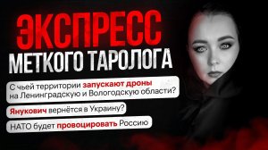 Экспресс ответы Меткого Таролога