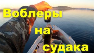 Топ воблеров по судаку на июнь 22