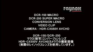 RAYNOX DCR-150 & DCR250 High Quality Macro conversion lens