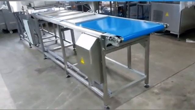 PLAST LINE600 для формирования и укладки изделий на противень кондитерский или стальной под печи.