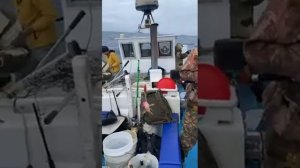 банка Зубр, уссурийский залив 20.06.21 вышли на треску!