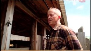 Кнут вместо пряника