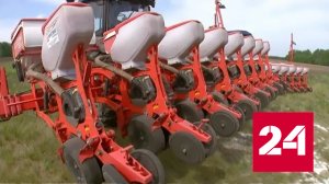 Алтайский край кормит Сибирь и готов кормить всю Россию - Россия 24