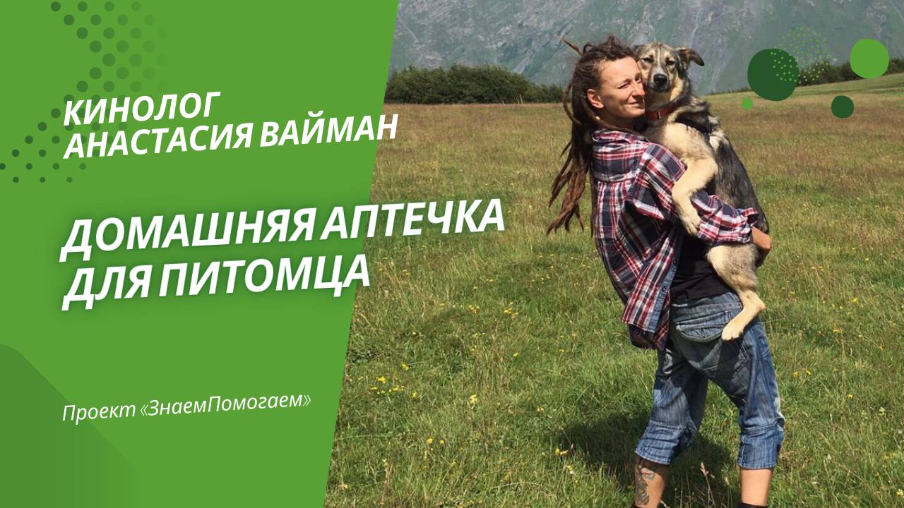 Кинолог Анастасия Вайман: Домашняя аптечка для питомцев