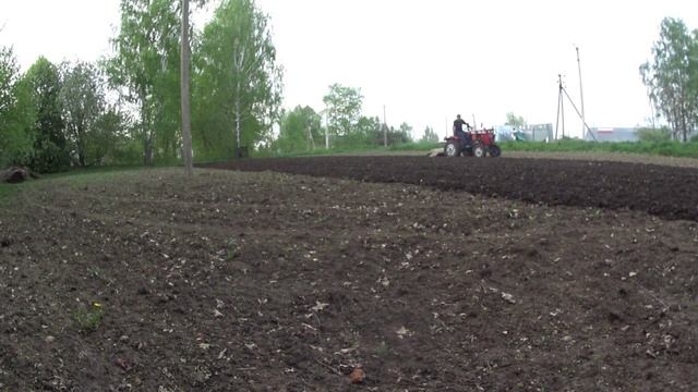 Синтай 120. Поздняя культивация из-за дождей. Китайский трактор с чешской фрезой.