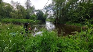 Ловля леща на реке. Ловля леща на малой реке на поплавок. Болонская ловля на реке.
