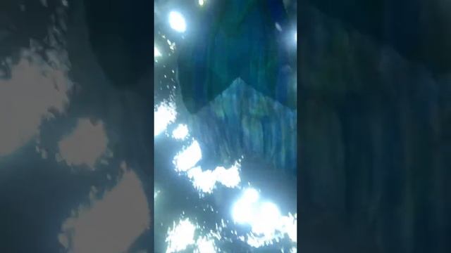 Русалка. Русалочка под водой. Mermaid under water.