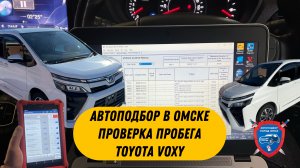 Автоподбор в Омске | Пробег в Toyota Voxy | Проверка авто перед покупкой Омск | Подбор авто в Омске