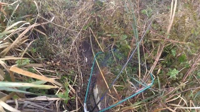 Как поймать щуку на поппер? смотреть онлайн