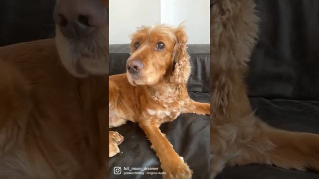 19 November 2021 смотреть онлайн