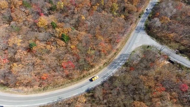 осенняя дорога на Шамору