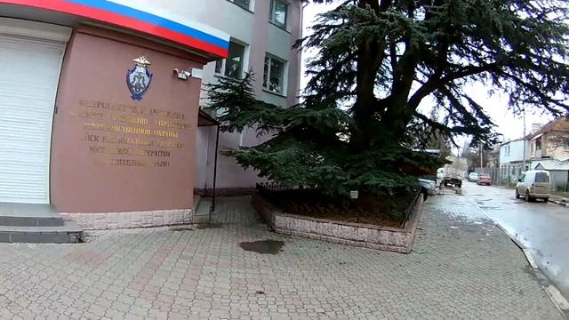 Кедр в Крыму растет!!! смотреть онлайн