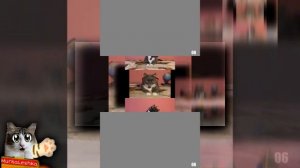 YTPMV REQUEST; YTPMV ЕСЛИ БЫ КОТИКИ ХОДИЛИ В ШКОЛУ КРАШ ТЕСТ ПОДЕЛОК УЧЕНИКОВ scan Scan