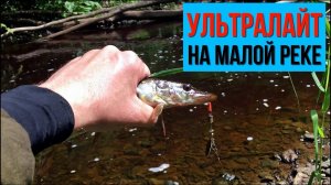 Ультралайт на малой реке | Рыбалка на спиннинг в красивых местах.