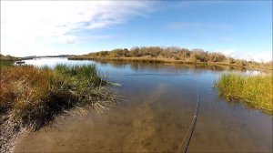 NEW ZEALAND TROUT FISHING A CRACK IN THE HEAD 3