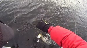 Lucky Craft Real California 128