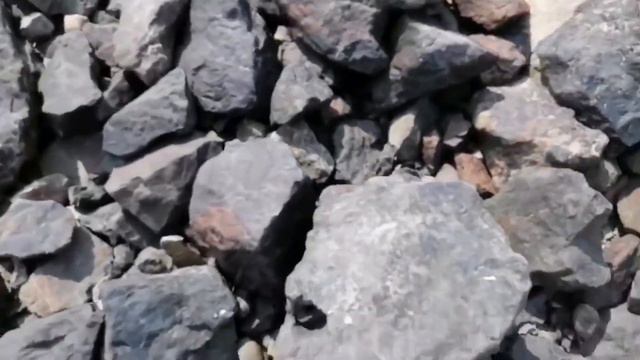 поселок Притомский город Новокузнецк 12.08.2021г.