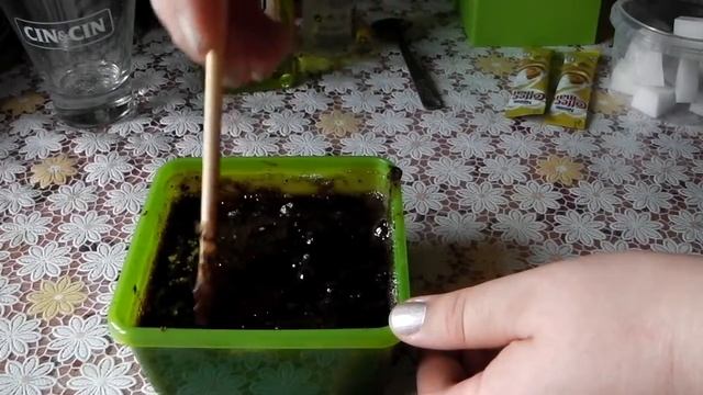 Сахарное шоколадное мыло-скраб смотреть онлайн