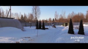 Холодное утро 24.03.2021. Ранняя прогулка с мопсом Жориком