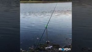 Рыбалка на карася в с. Красный Путь Московская область