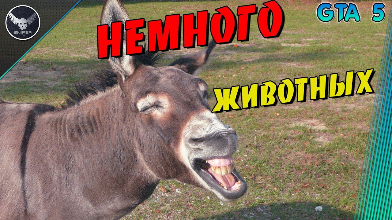 GTA5 Вмире животных!!!