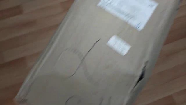 24 ноября 2023 г. смотреть онлайн