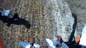 Уборка делянок комбайном Террион-2010