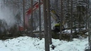 Харвестеры на базе экскаваторов с головками AFM в сплошных рубках