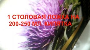 РАСТОРОПША И ЕЁ ЛЕЧЕБНЫЕ СВОЙСТВА.