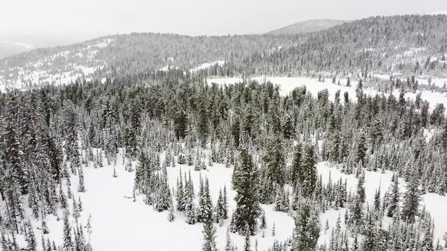Уроки выживания | Нападение МЕДВЕДЯ - что делать | Pазжечь огонь в лесу зимой. смотреть онлайн