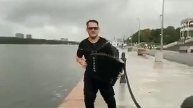 Гармошка