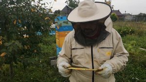 Экопол для борьбы с клещем Варроа.