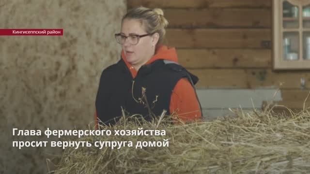 Вернуть супруга домой просит глава крестьянско-фермерского хозяйства из Кингисеппского района