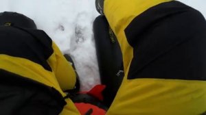 Эволюционная вершина рыболовных саней-волокуш?